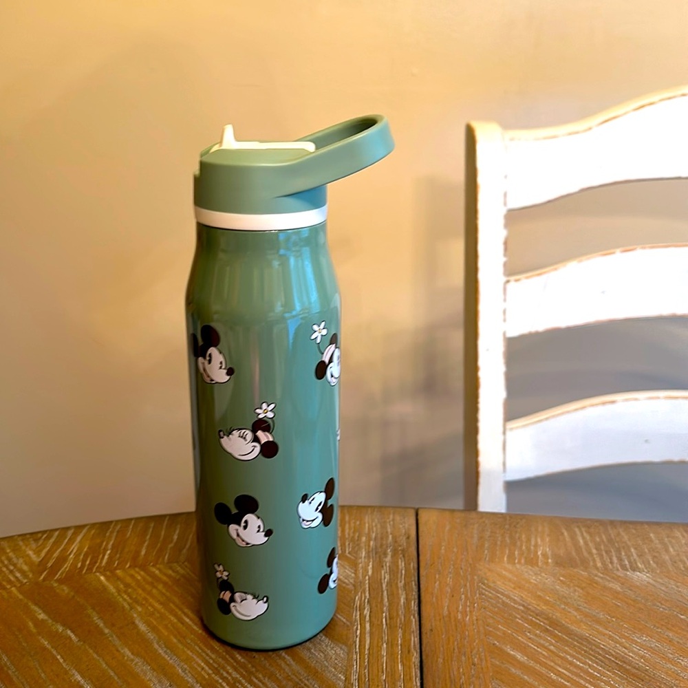 Green Zak Aldi Minnie Mouse travel 20oz bottle